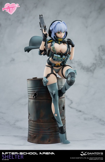 Shelter (6th Shot), Original Character, DAMTOYS, Pre-Painted, 1/7